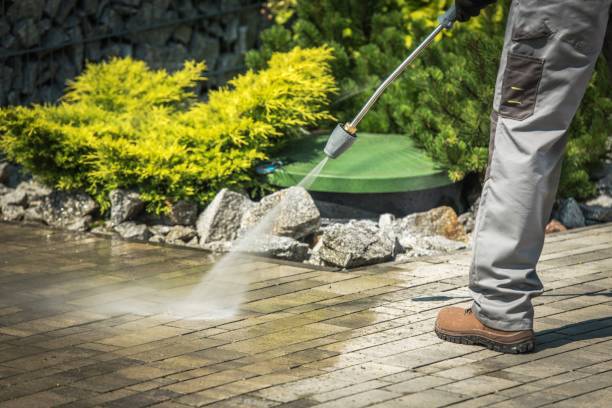 Best Boat and Dock Cleaning  in Kenedy, TX