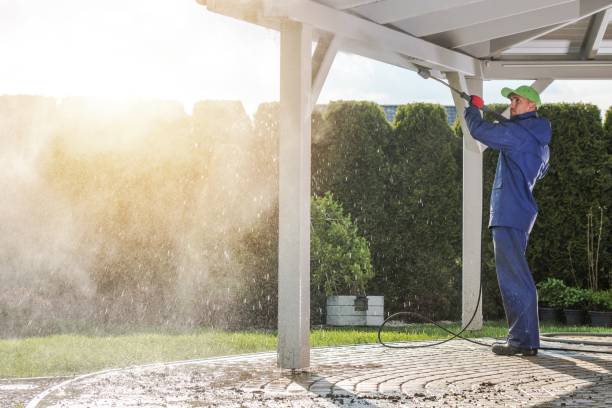 Best Gutter Cleaning  in Kenedy, TX