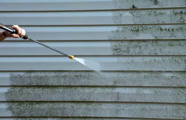 Best Dumpster Area Cleaning  in Kenedy, TX